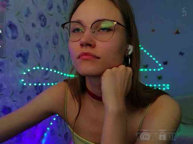 Armura webcam