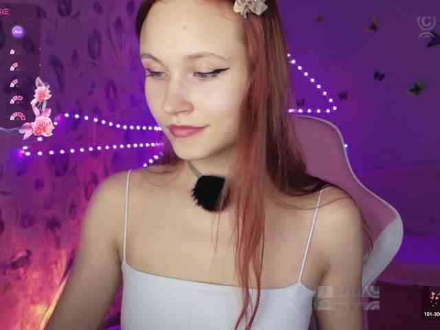 Armura webcam