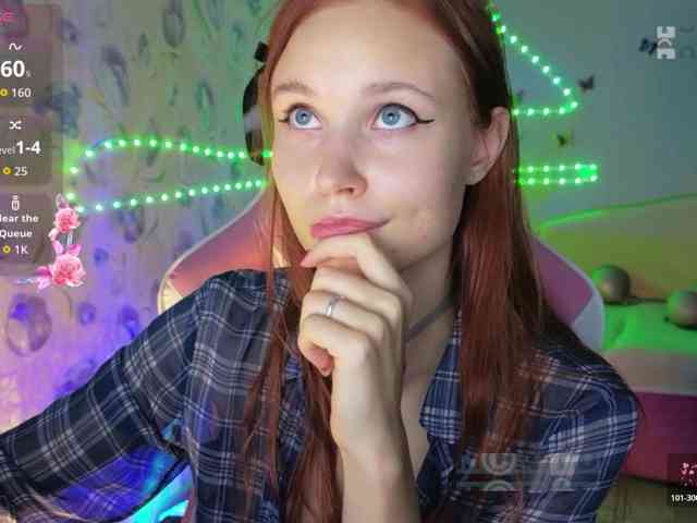 Armura webcam
