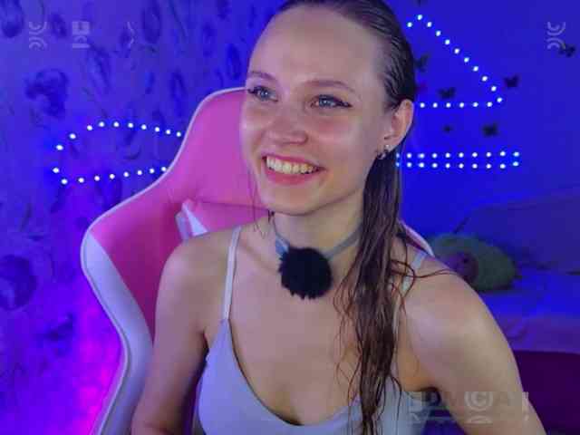 Armura webcam