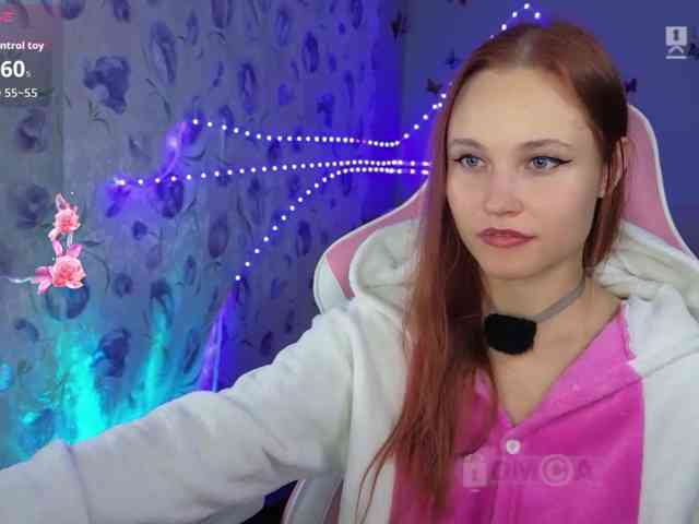 Armura webcam