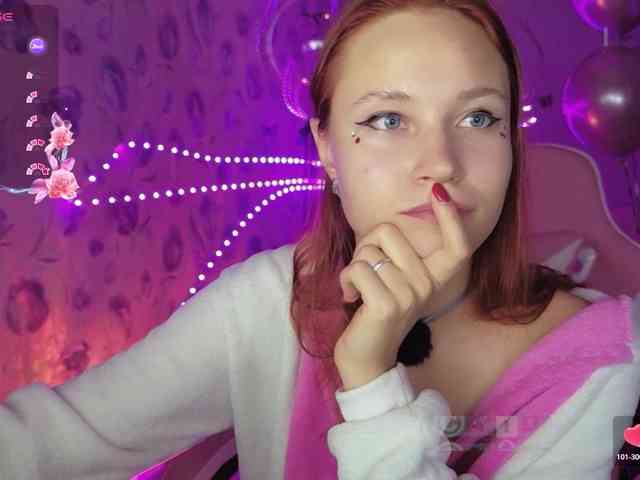 Armura webcam