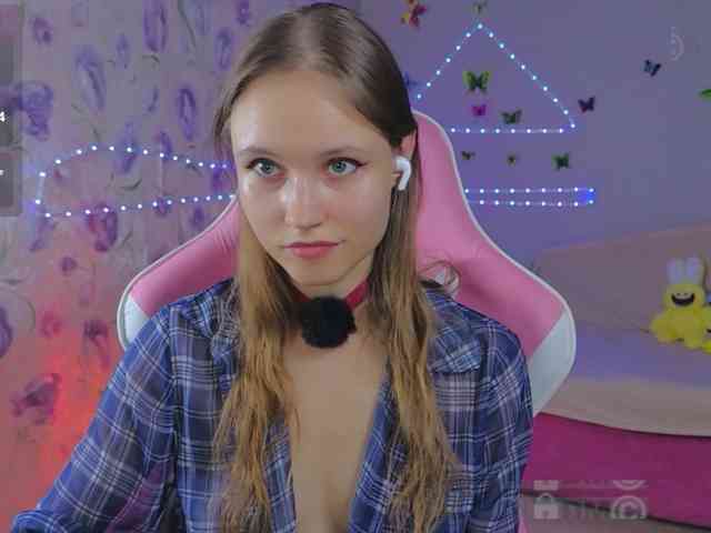Armura webcam