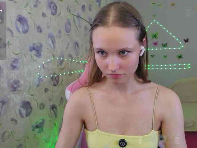 Armura webcam