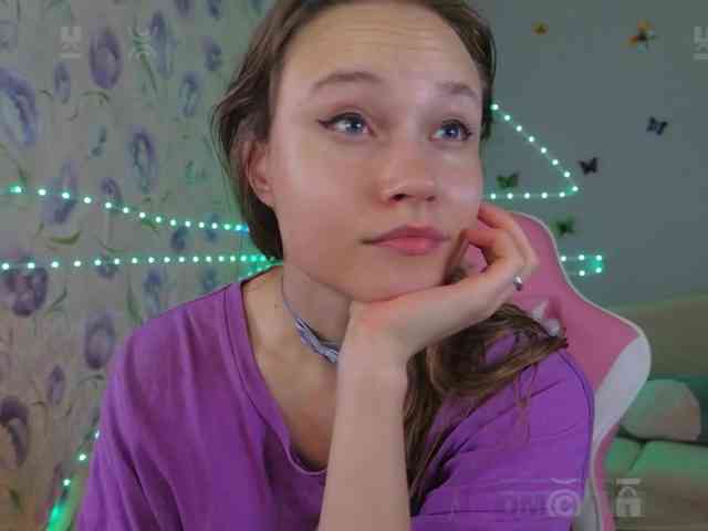 Armura webcam