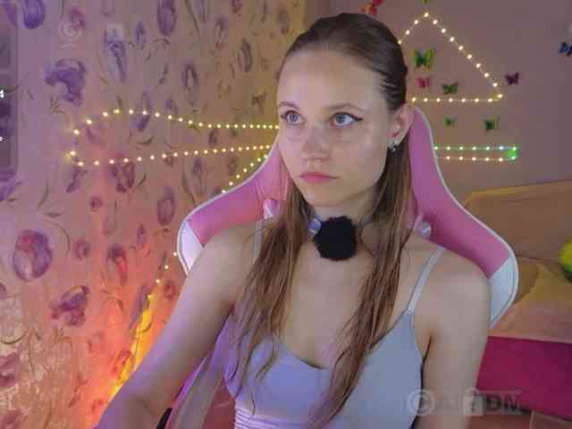 Armura webcam