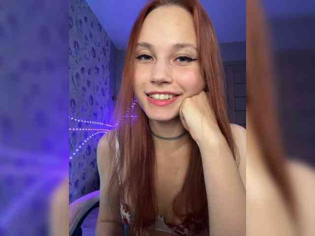 Armura webcam
