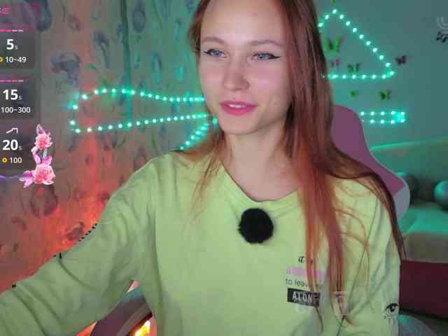 Armura webcam