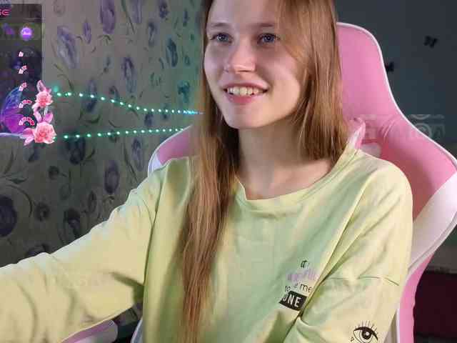 Armura webcam