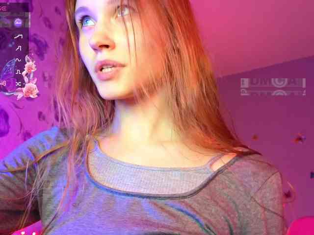 Armura webcam