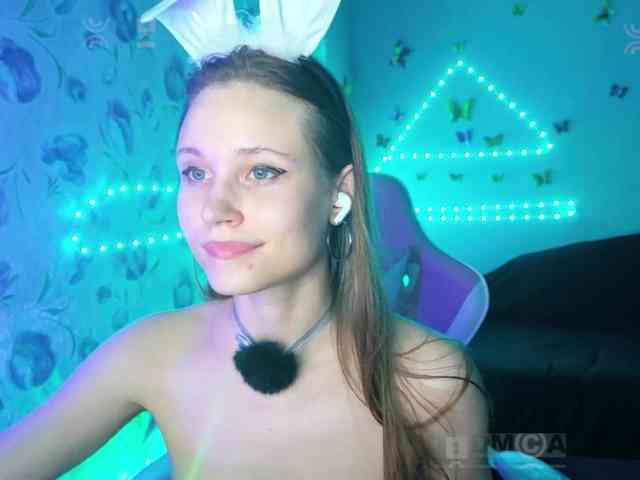Armura webcam