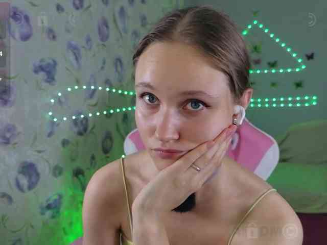 Armura webcam