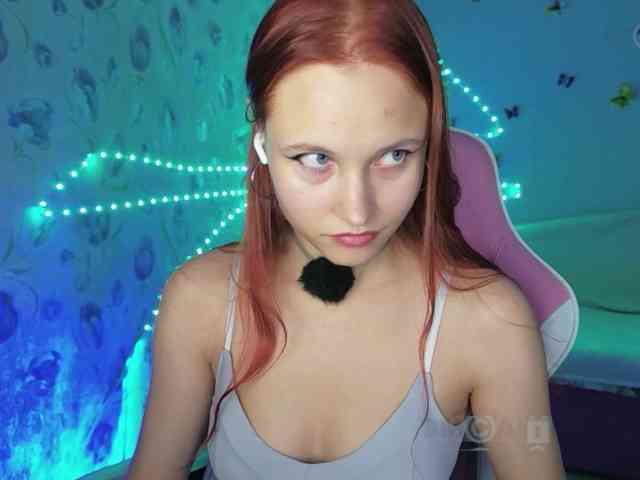 Armura webcam