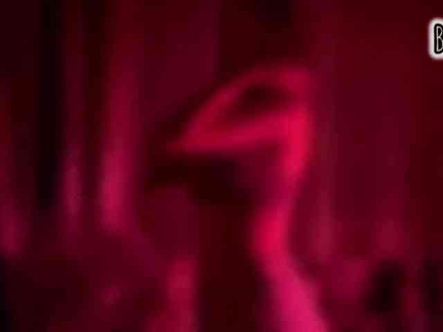 Armura webcam