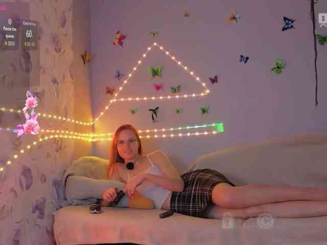 Armura webcam