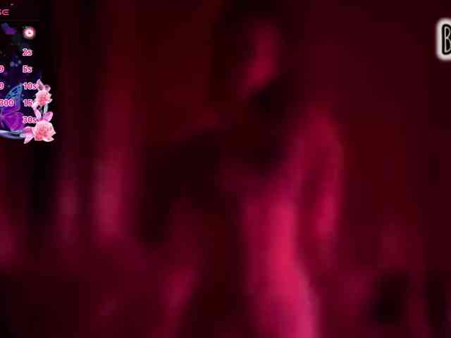 Armura webcam