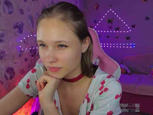 Armura webcam