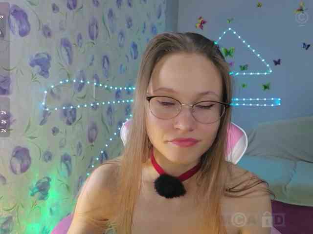 Armura webcam