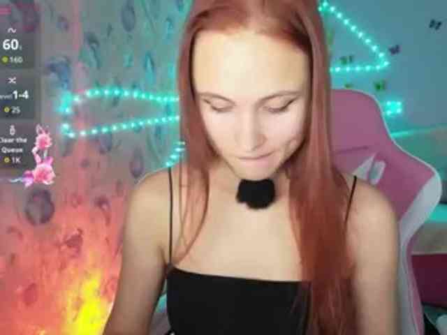 Armura webcam
