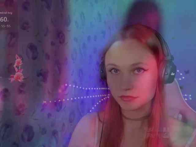 Armura webcam