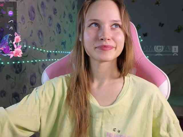 Armura webcam