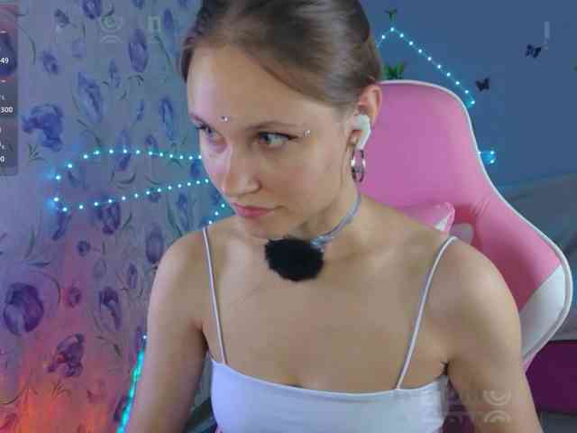 Armura webcam