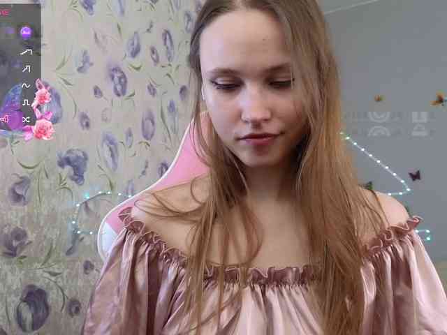 Armura webcam