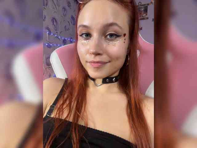 Armura webcam