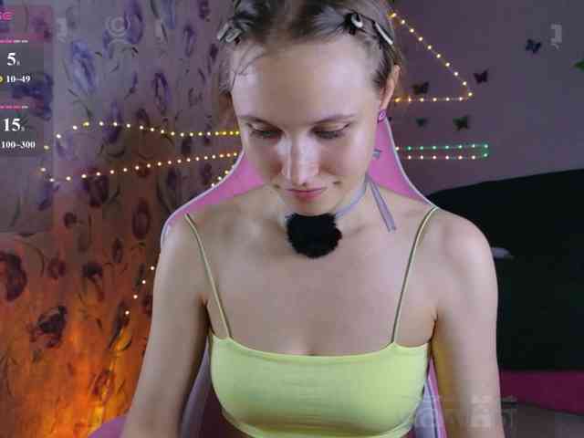 Armura webcam