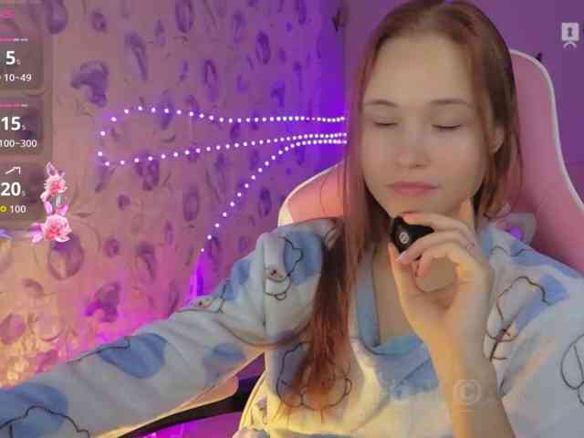 Armura webcam