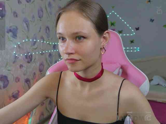Armura webcam