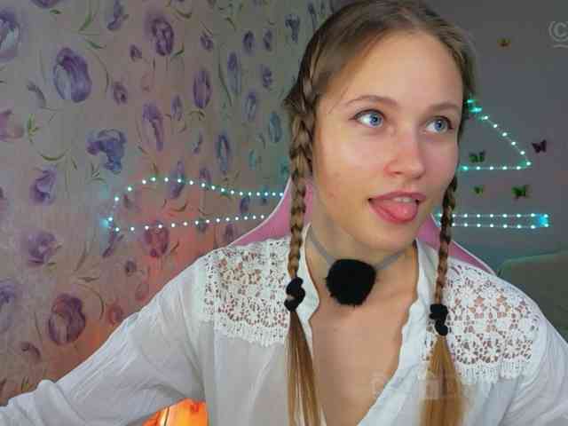 Armura webcam