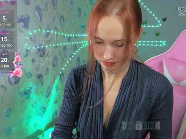 Armura webcam