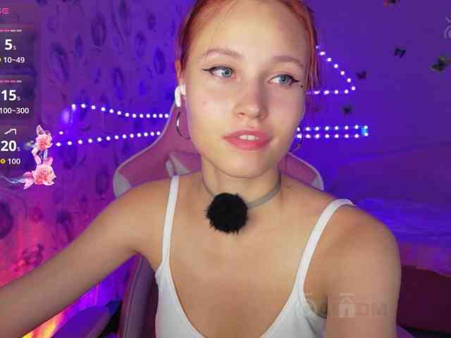 Armura webcam
