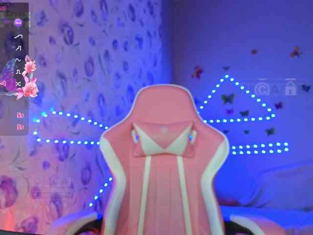 Armura webcam