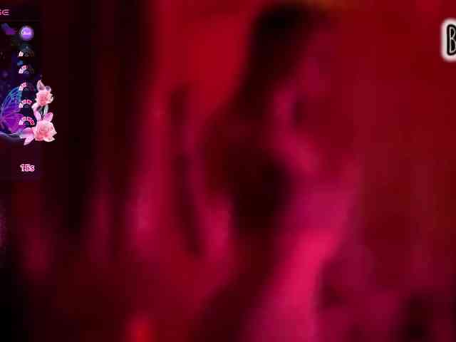 Armura webcam