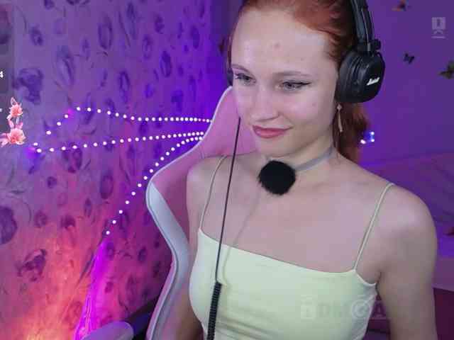 Armura webcam