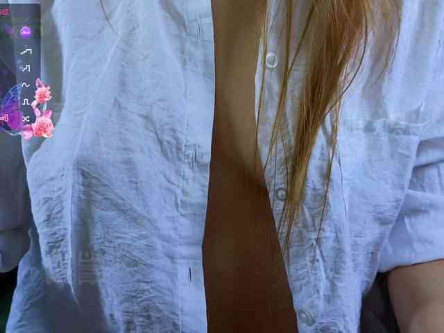 Armura webcam