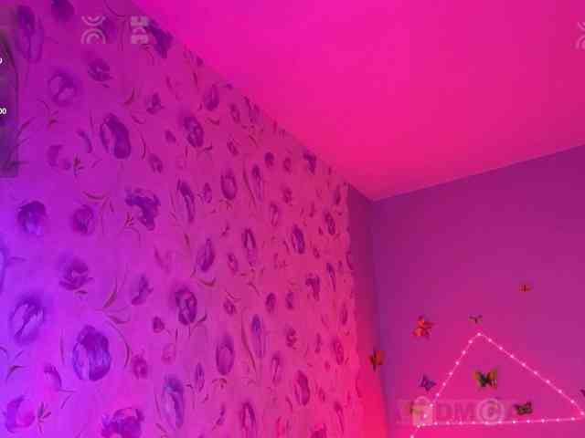 Armura webcam