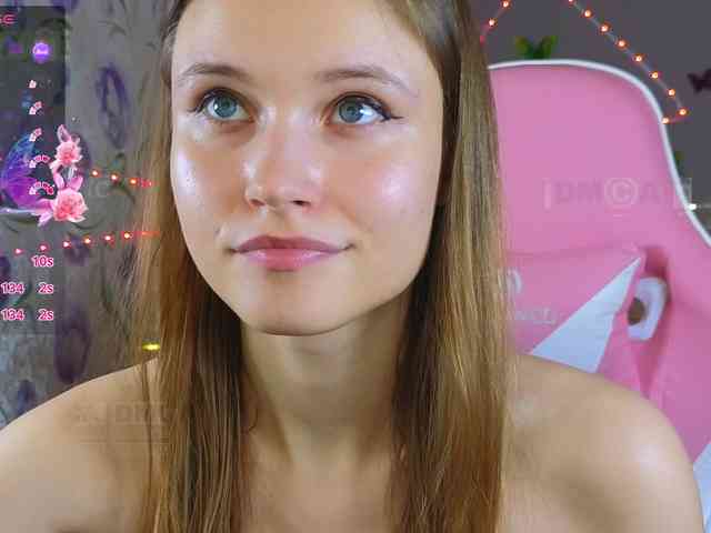 Armura webcam