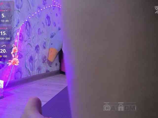 Armura webcam