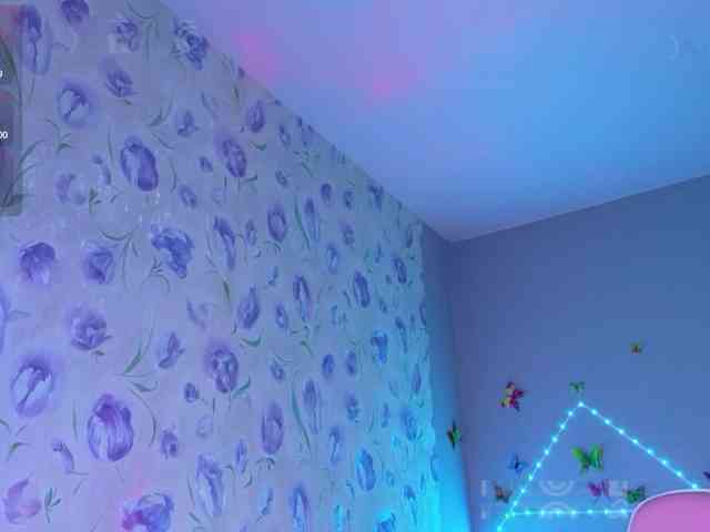 Armura webcam