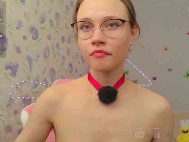 Armura webcam