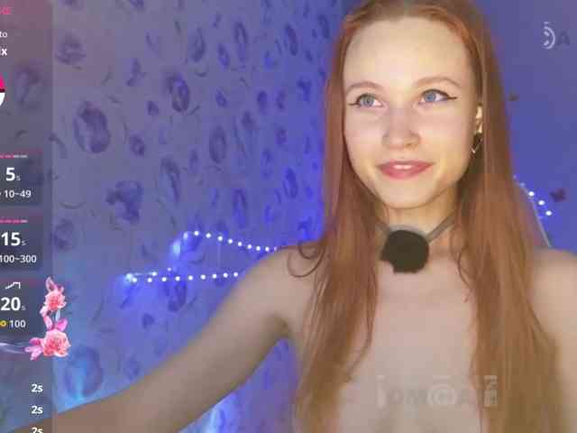 Armura webcam