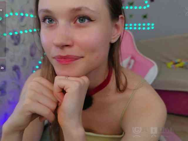 Armura webcam