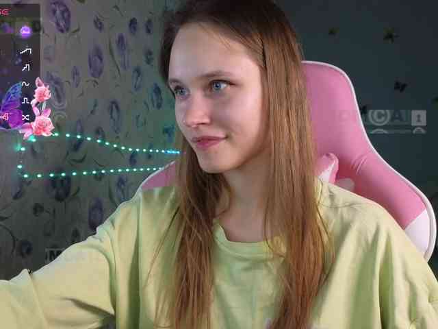 Armura webcam