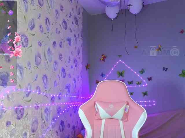 Armura webcam