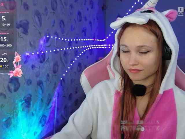 Armura webcam