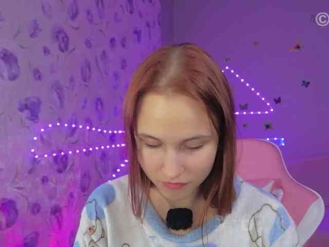 Armura webcam