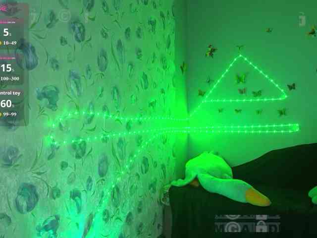 Armura webcam